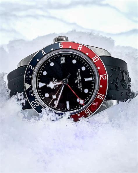 tudor prediction 2021|Tudor 2021 Predictions .